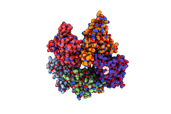 3NFI image