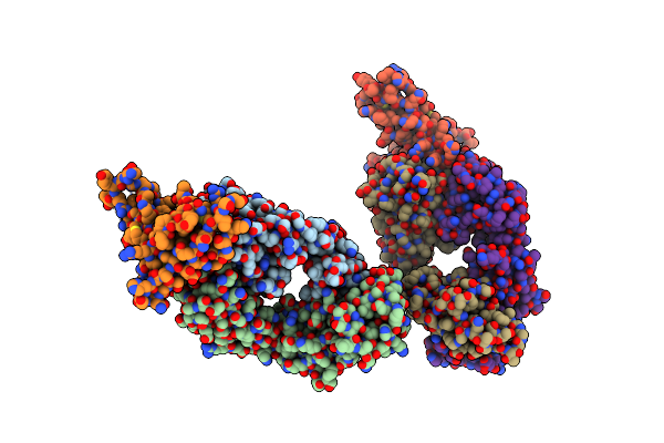 3NFP image