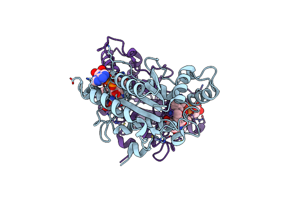 3NFR image