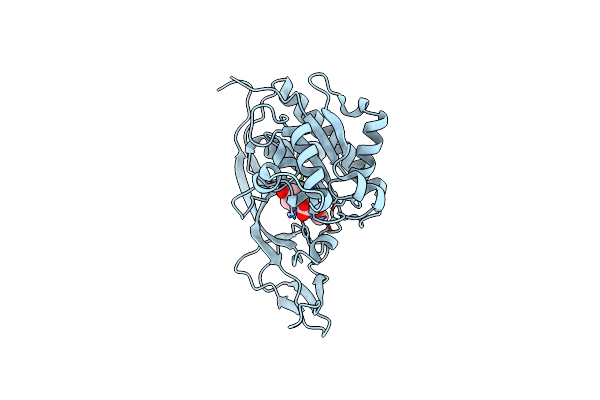 3NFZ image