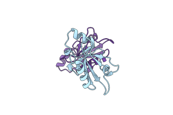 3NGH image