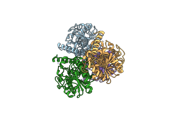 3NGM image