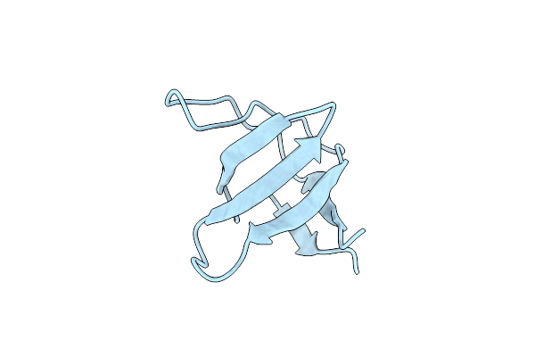 3NGP image