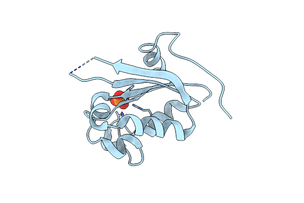 3NGR image