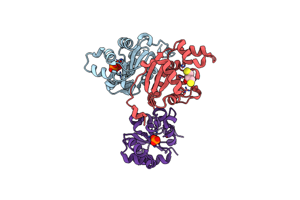 3NGS image