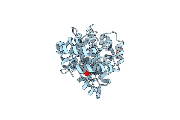 3NGV image