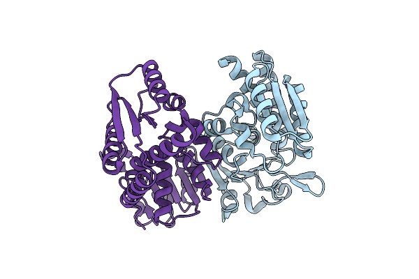 3NGX image