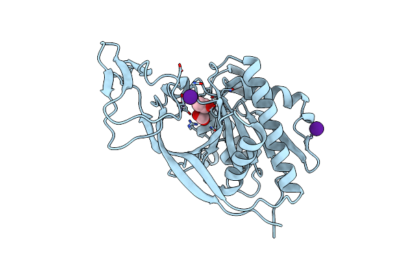3NH4 image