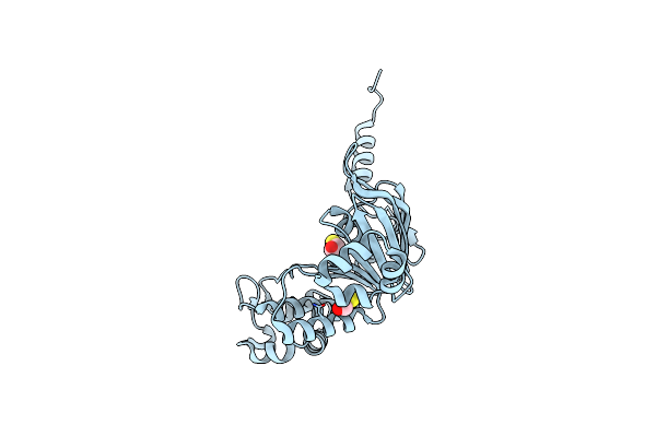 3NH6 image