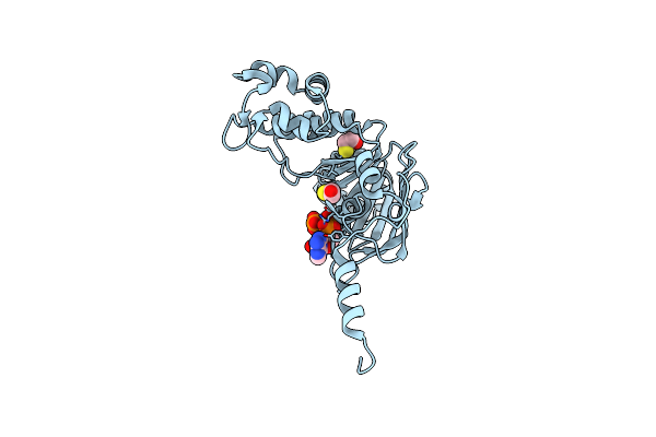 3NH9 image