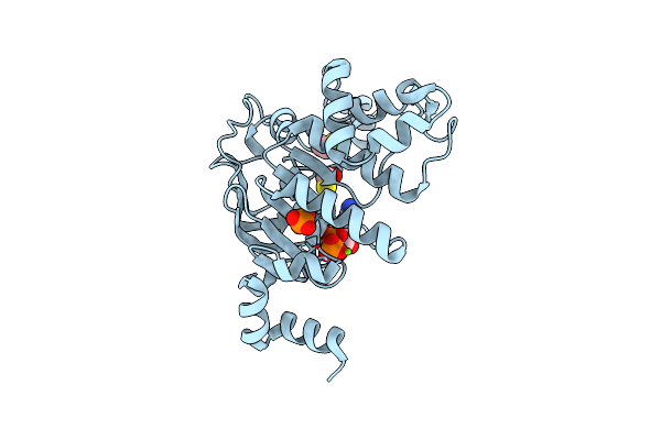 3NHA image
