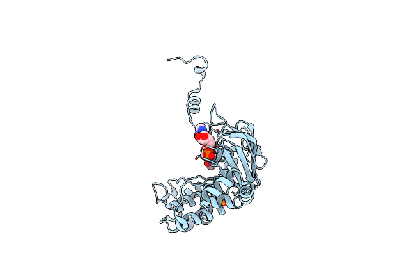 3NHB image