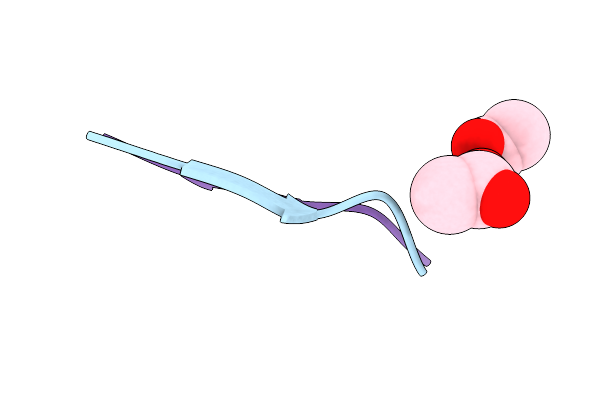 3NHD image