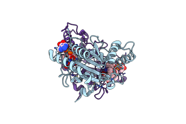 3NHP image