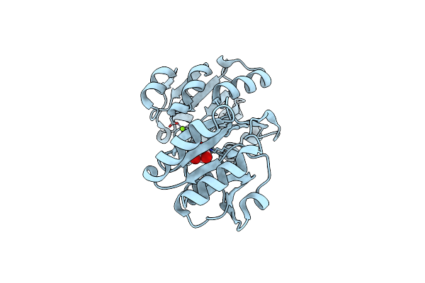3NIW image