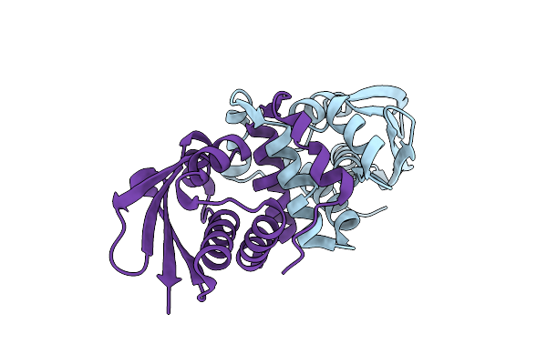 3NJC image