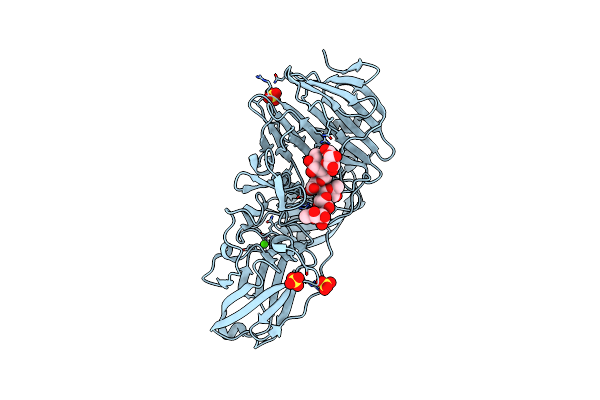 3NJV image