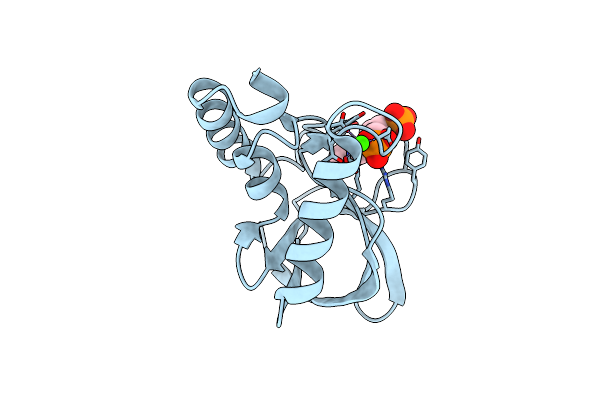 3NK9 image