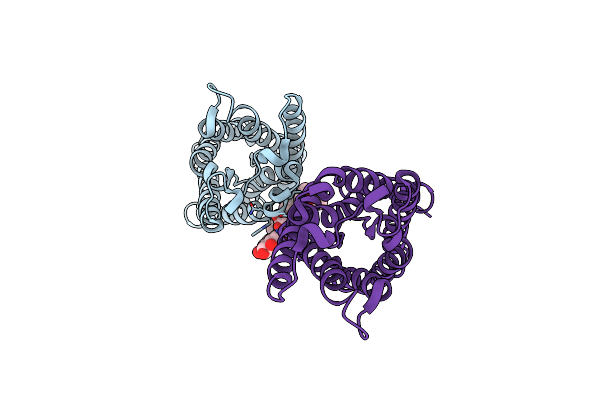 3NKC image