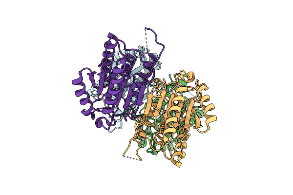 3NKF image
