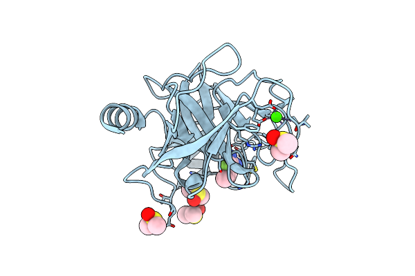 3NKK image