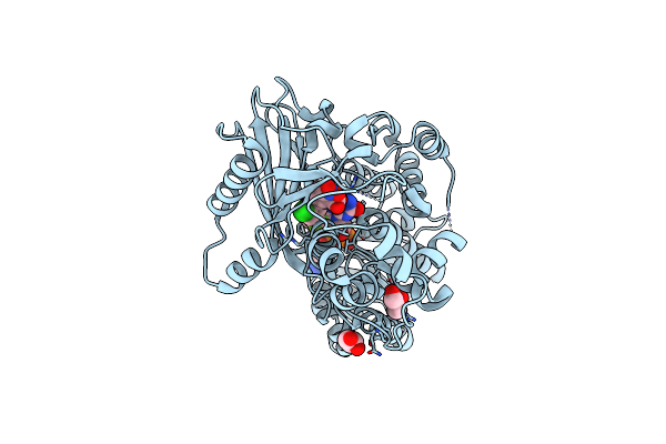 3NKS image