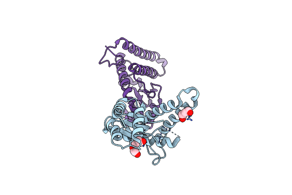 3NKU image