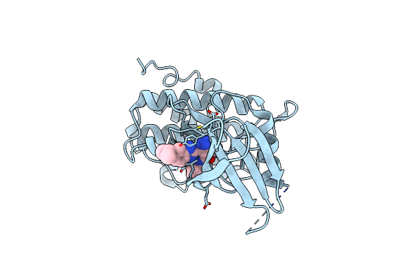 3NLB image