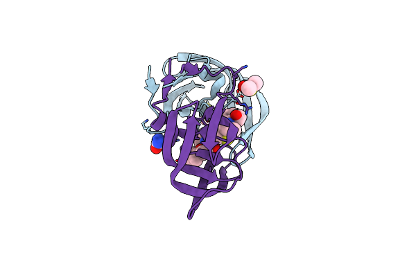 3NLS image