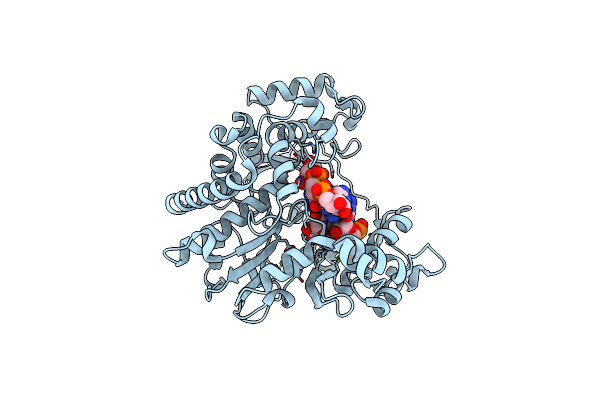 3NMA image