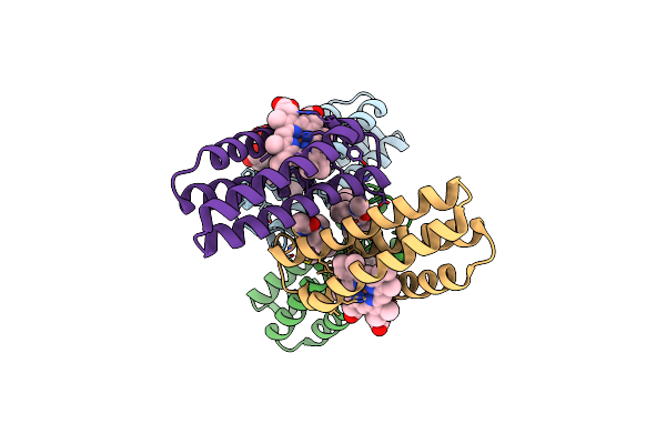 3NMJ image