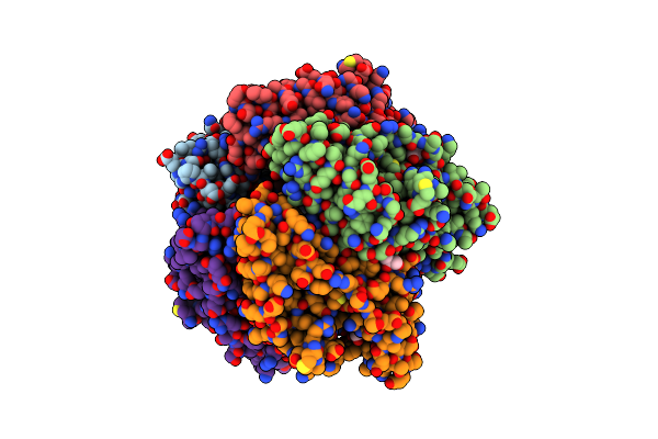 3NN2 image