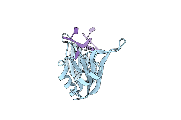 3NNC image