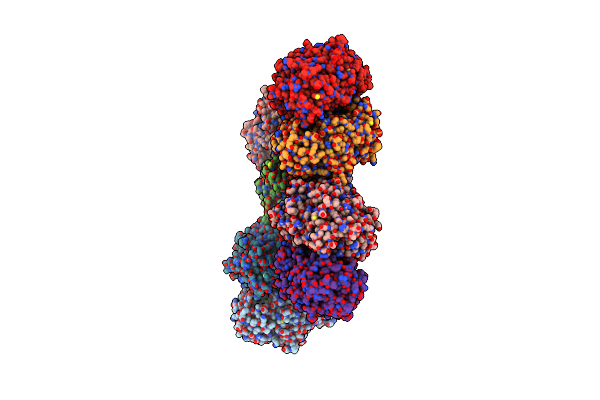 3NNE image
