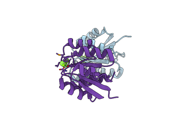 3NNS image