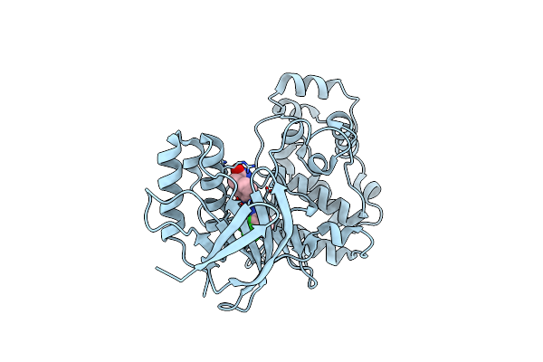 3NNU image