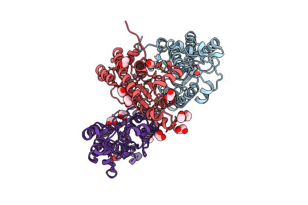 3NO4 image