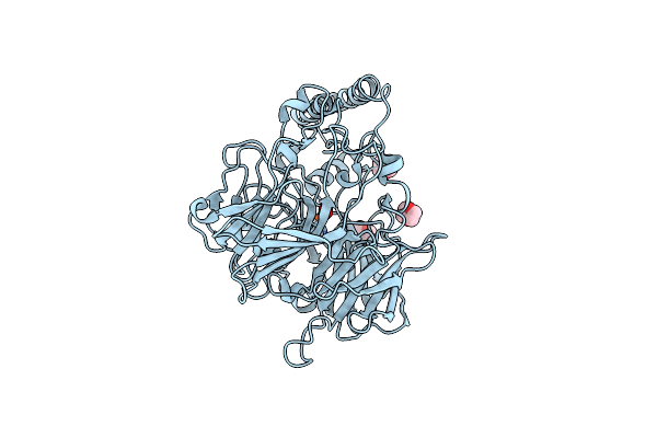 3NPE image