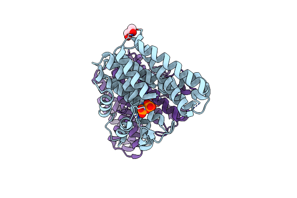 3NPK image
