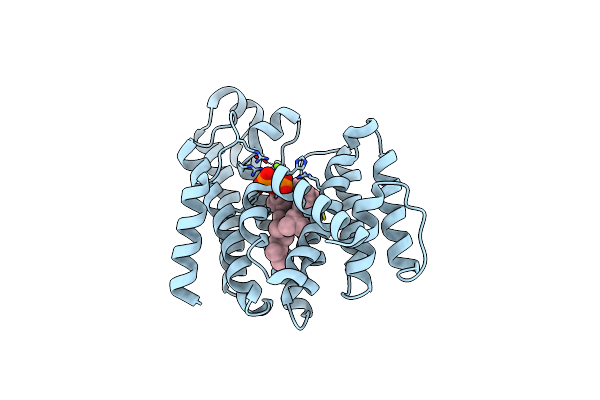 3NPR image