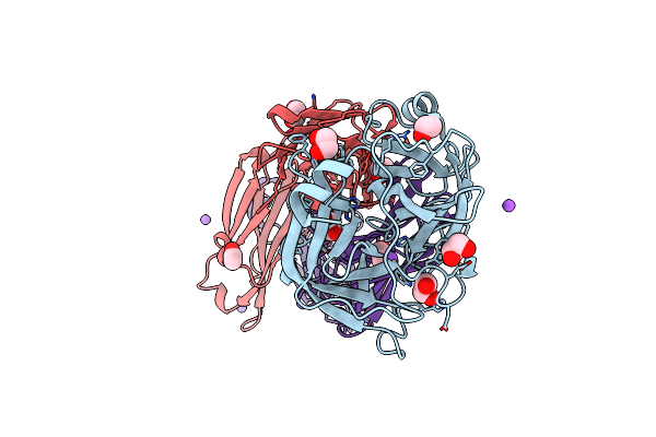 3NPS image