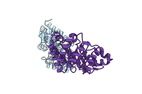 3NPV image