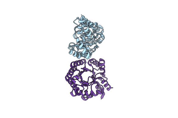3NPX image