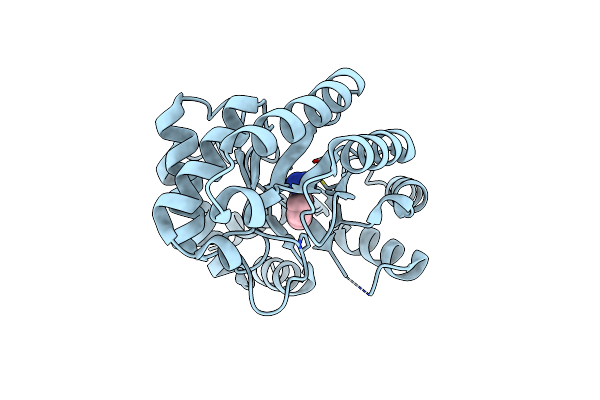 3NQV image