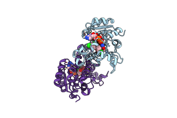 3NRC image