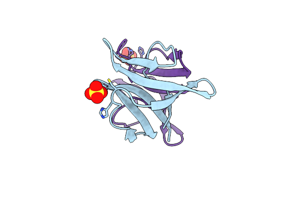 3NRL image