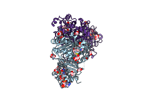 3NRR image