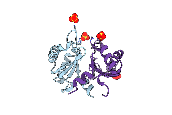 3NS6 image