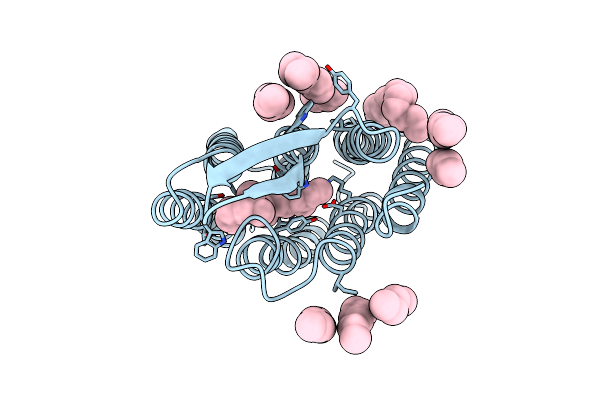 3NSB image