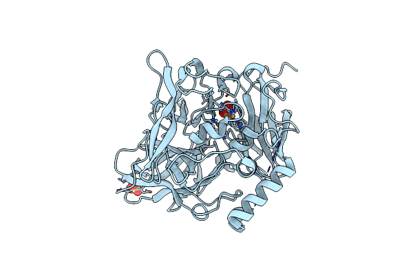 3NSC image
